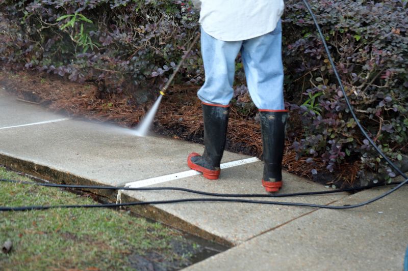 Driveway and Pathway Cleaning